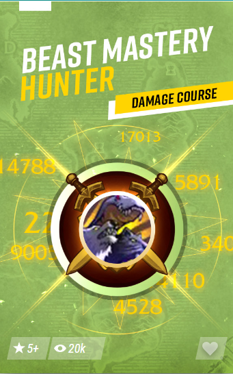 Beast Mastery Hunter Damage Course